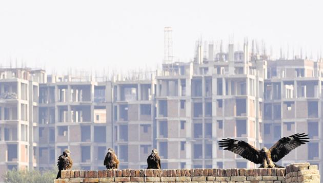 Homebuyers said that the authority is reducing the distance between two towers to benefit builders who want to make optimum use of available space.(Sunil Ghosh/HT File Photo)
