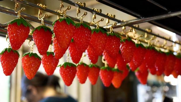 Plastic strawberry earrings made at the studio of Fake Food Hatanaka in Tokorozawa, a suburb of Tokyo. (TORU YAMANAKA / AFP) Plastic strawberry earrings made at the studio of Fake Food Hatanaka in Tokorozawa, a suburb of Tokyo. (TORU YAMANAKA / AFP)