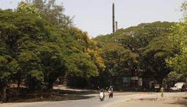 Of the 1,068 hectares under Aarey Colony, the DP has reserved 34.41 hectares for Metro car shed and 113 hectares for a zoo and botanical garden. (File) Of the 1,068 hectares under Aarey Colony, the DP has reserved 34.41 hectares for Metro car shed and 113 hectares for a zoo and botanical garden. (File)