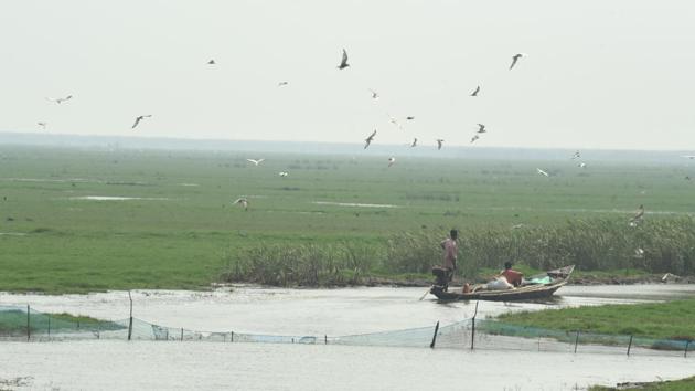 A flock of whiskered tern hovering alongside a fisherman’s boat to get a share of thrown away shells and dead fish. (Arabinda Mohapatra) A flock of whiskered tern hovering alongside a fisherman’s boat to get a share of thrown away shells and dead fish. (Arabinda Mohapatra)