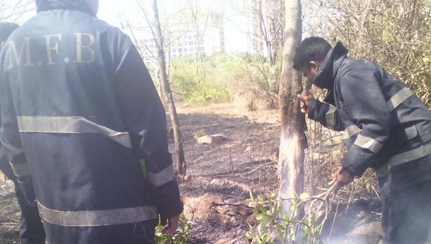 Fire officials try to put out the flames on Thursday. (HT) Fire officials try to put out the flames on Thursday. (HT)