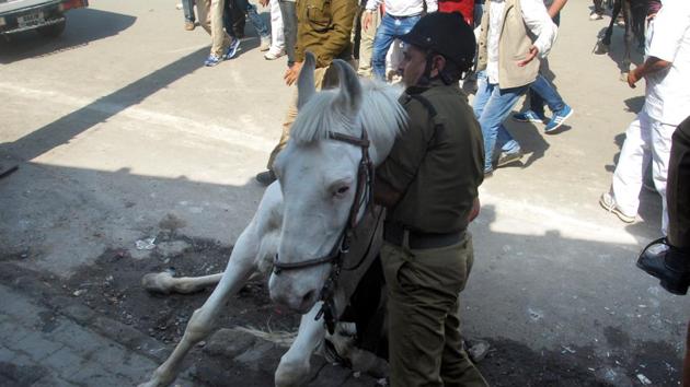 A policeman attempts to lift Shaktimaan to its feet after the horse was injured in an attack by BJP MLA Ganesh Joshi during a party rally in Dehradun on March 14, 2016. (Vinay Santosh Kumar/HT File) A policeman attempts to lift Shaktimaan to its feet after the horse was injured in an attack by BJP MLA Ganesh Joshi during a party rally in Dehradun on March 14, 2016. (Vinay Santosh Kumar/HT File)