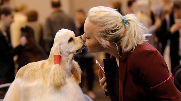 A woman kisses her American Cocker Spaniel during the third day of the Crufts Dog Show in Birmingham, Britain. (Darren Staples / REUTERS) 