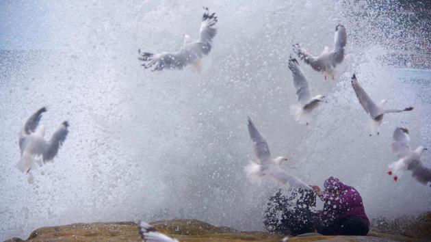 Seagulls and rock-fishing couple, Arie and Zakiyyah Widodo are sprayed by a large wave breaking against the rocks near Sydney's Bronte Beach, Australia. (Aaron Bunch  / REUTERS) 