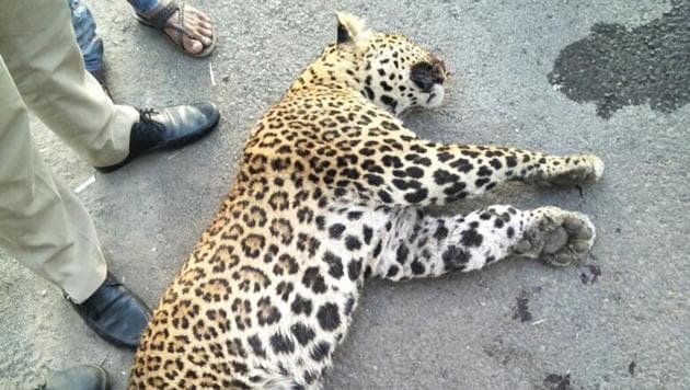 The incident occurred on Saturday at 7 am near Ozarde village, close to Talegaon on the Mumbai-Pune expressway. (HT photo) The incident occurred on Saturday at 7 am near Ozarde village, close to Talegaon on the Mumbai-Pune expressway. (HT photo)