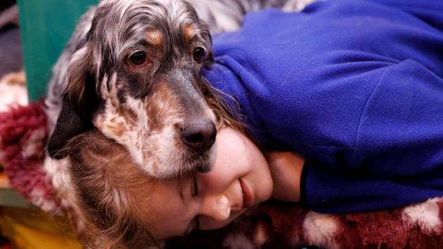 Katie McCloughlin lies with Topsy, her English Setter, during the third day of the Crufts Dog Show. (Darren Staples / REUTERS) Katie McCloughlin lies with Topsy, her English Setter, during the third day of the Crufts Dog Show. (Darren Staples / REUTERS)