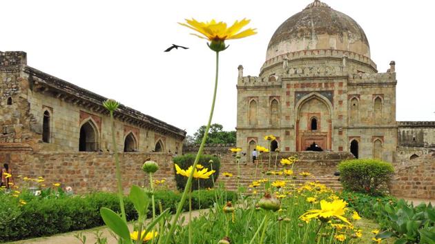 Flowers leading the way to the Bara Gumbhad in Lodhi Garden. (Anmol Wahi/HT Photo) 