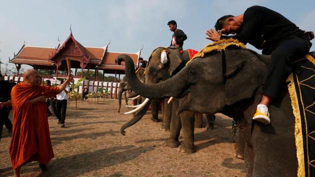A Thai Buddhist monk blesses and sprinkles holy water on the elephants. Spectators also watched a pair of the animals lock tusks to re-enact a scene from an ancient historic battle. (Chaiwat Subprasom/REUTERS)