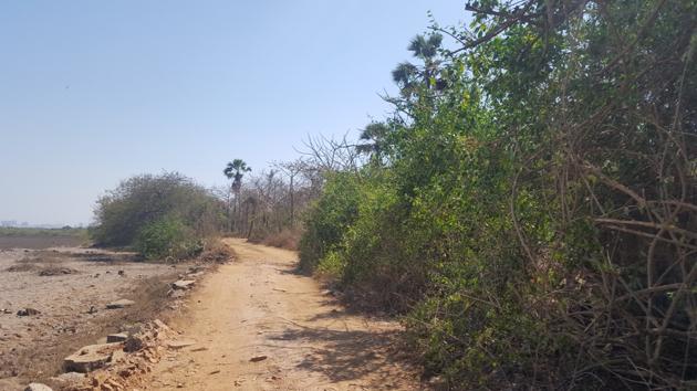 In a letter to the mangrove cell, suburban collector and local ward officer, NGO Plants and Animals Welfare Society (PAWS-Mumbai) identified two locations with ongoing construction work within mangrove forests, a violation of environment laws and Bombay High Court (HC) rules. (PAWS) In a letter to the mangrove cell, suburban collector and local ward officer, NGO Plants and Animals Welfare Society (PAWS-Mumbai) identified two locations with ongoing construction work within mangrove forests, a violation of environment laws and Bombay High Court (HC) rules. (PAWS)