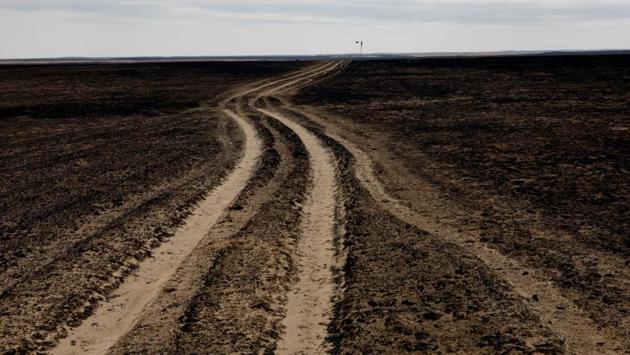 A country road leads through a pasture burned by wildfires near Glazier, Texas. (Lucas Jackson / REUTERS)
