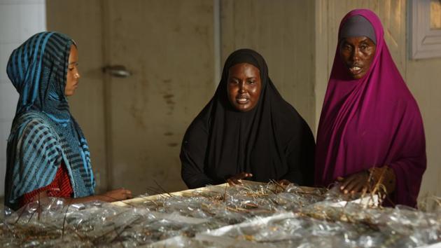 Women finish packing lobsters for export in the former pirate village of Eyl. In recent years, local officials have warned that rampant fishing by foreign trawlers was destroying the livelihoods of coastal communities, stoking fears of a return of piracy as a way to make money. They have blamed Yemeni, Chinese, Indian, Iranian and Djibouti-flagged fishing boats and trawlers. (Ben Curtis/AP) Women finish packing lobsters for export in the former pirate village of Eyl. In recent years, local officials have warned that rampant fishing by foreign trawlers was destroying the livelihoods of coastal communities, stoking fears of a return of piracy as a way to make money. They have blamed Yemeni, Chinese, Indian, Iranian and Djibouti-flagged fishing boats and trawlers. (Ben Curtis/AP)