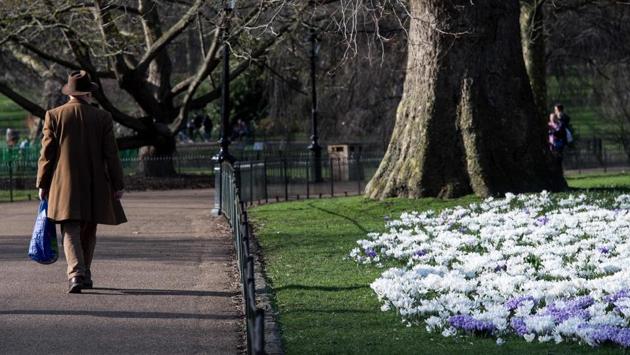 A man walks past a bed of crocuses in St James's Park as Londoners enjoy the warm weather on an early spring day in London . (CHRIS J RATCLIFFE / AFP)