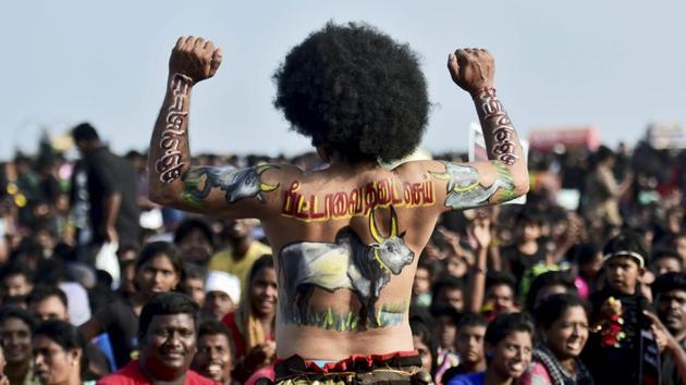 A youth with a bull painted on his back takes part in the protest in support of jallikattu at the Marina beach in Chennai.(PTI File) A youth with a bull painted on his back takes part in the protest in support of jallikattu at the Marina beach in Chennai.(PTI File)