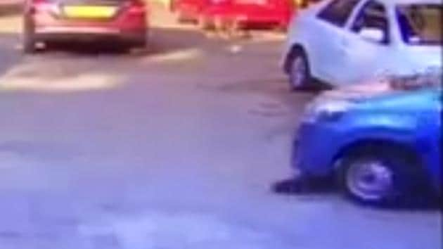 The CCTV camera footage shows the car run over the three-month-old pup but the driver does not stop to check on the dog.(HT)