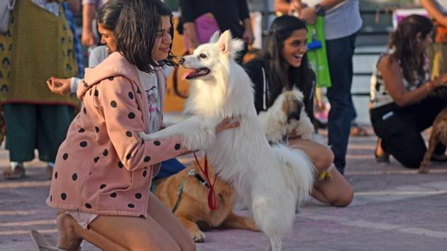 You did so well, the owner seems to be telling her pet. (Pratik Chorge/HT PHOTO)
