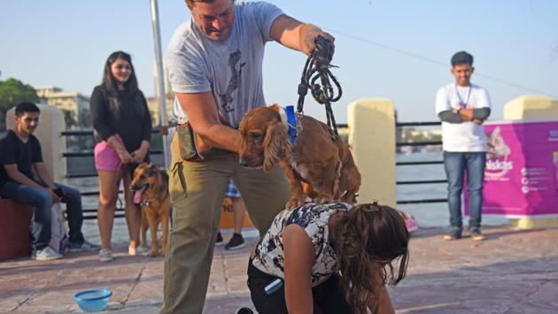 Hop, skip and jump: The command for this pooch. (Pratik Chorge/HT PHOTO)