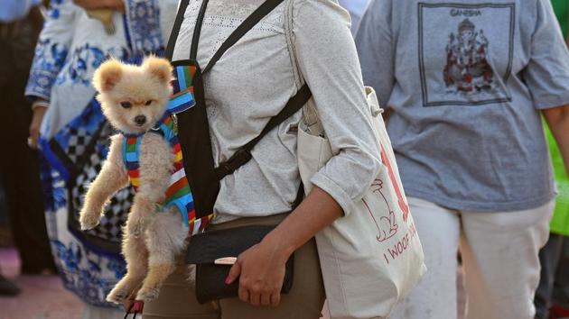 Competition? I am bigger than the wallet, for sure! (Pratik Chorge/HT PHOTO)