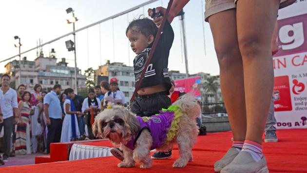 Not an underdog, for sure! (Pratik Chorge/HT PHOTO)