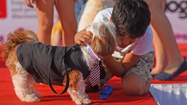 Puppy love: A child with his pet. (Pratik Chorge/HT PHOTO)