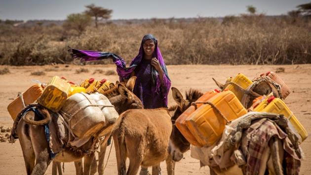 A woman leads her donkeys loaded with jerrycans in the drought-stricken Baligubadle village near Hargeisa, the capital city of Somaliland, in this handout picture provided by The International Federation of Red Cross and Red Crescent Societies. (REUTERS) A woman leads her donkeys loaded with jerrycans in the drought-stricken Baligubadle village near Hargeisa, the capital city of Somaliland, in this handout picture provided by The International Federation of Red Cross and Red Crescent Societies. (REUTERS)