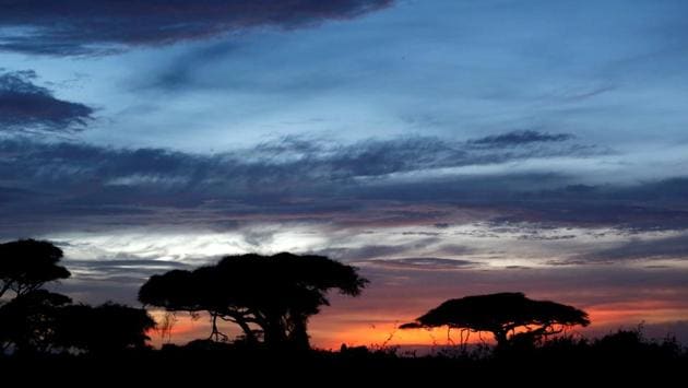 Trees are seen at sunset in Amboseli National Park, Kenya. (Goran Tomasevic / REUTERS) Trees are seen at sunset in Amboseli National Park, Kenya. (Goran Tomasevic / REUTERS)