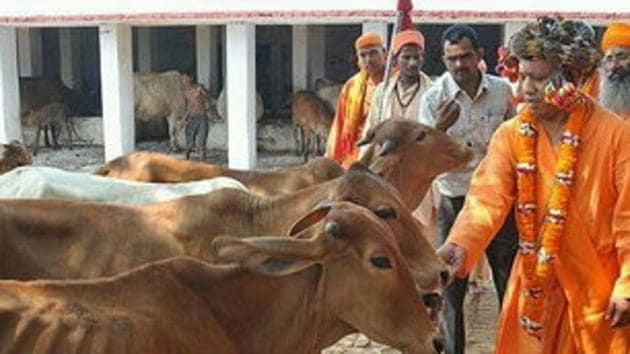 Yogi Adityanath’s ‘gaushala’ is set up in across two acres of land on the temple premises.(HT File Photo)