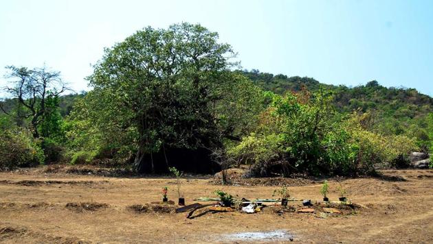 A general view of the location where the body of Danielle McLaughlin was found in Canacona, some 60 km south of Panaji. (AFP File) A general view of the location where the body of Danielle McLaughlin was found in Canacona, some 60 km south of Panaji. (AFP File)