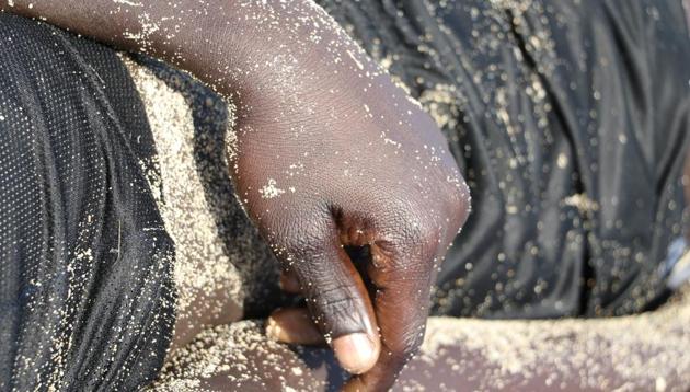 Twenty students died after trees fell on them while swimming, in Ghana.(Reuters File Photo)