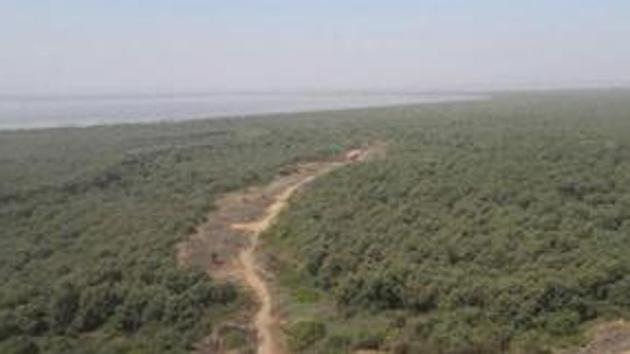 With a space crunch in and around Mumbai, realty vultures are preying on mangroves, putting coastal eco-system in jeopardy. With a space crunch in and around Mumbai, realty vultures are preying on mangroves, putting coastal eco-system in jeopardy.