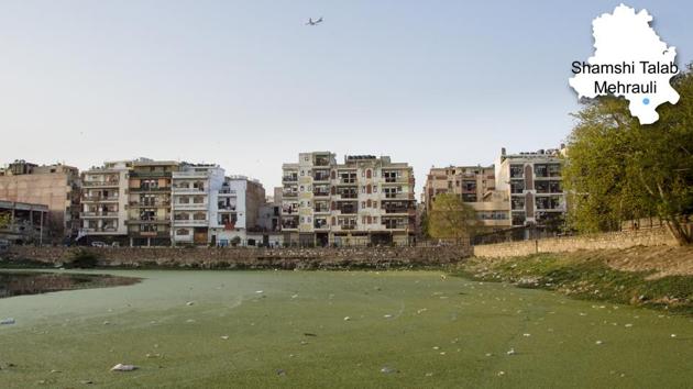 Shamshi lake facing residential buildings in Mehraulli. (Vageesh Lall/HT Photo) Shamshi lake facing residential buildings in Mehraulli. (Vageesh Lall/HT Photo)