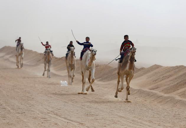 Jockeys, most of whom are children, compete on their mounts during the opening of the International Camel Racing festival at the Sarabium desert in Ismailia, Egypt. (Amr Abdallah Dalsh / Reuters) Jockeys, most of whom are children, compete on their mounts during the opening of the International Camel Racing festival at the Sarabium desert in Ismailia, Egypt. (Amr Abdallah Dalsh / Reuters)