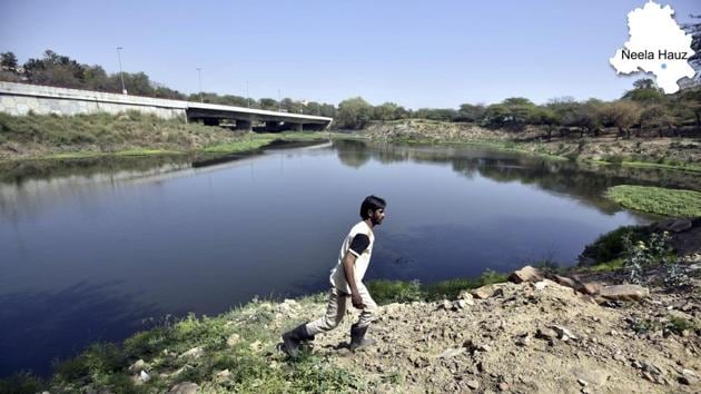 Under the orders of the Delhi High Court, the Delhi Development Authority (DDA) is in the process of restoring Neela Hauz, a large pond in south Delhi. By March 2013, it is scheduled to complete the work that involves removing weed and hyacinth infestation, dredging, planting local trees and shrubs and constructing walking tracks. The pond will be merged with the neighbouring Sanjay Van, a protected forest under DDA in the Southern Ridge. (Arun Sharma/HT PHOTO) Under the orders of the Delhi High Court, the Delhi Development Authority (DDA) is in the process of restoring Neela Hauz, a large pond in south Delhi. By March 2013, it is scheduled to complete the work that involves removing weed and hyacinth infestation, dredging, planting local trees and shrubs and constructing walking tracks. The pond will be merged with the neighbouring Sanjay Van, a protected forest under DDA in the Southern Ridge. (Arun Sharma/HT PHOTO)