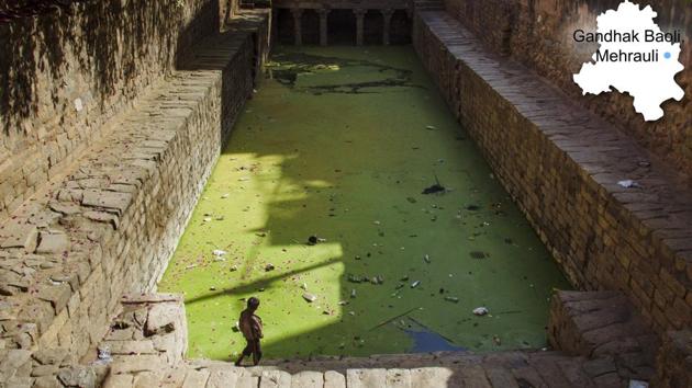 A young boy pictured at Gandhak Baoli, in Mehraulli. According to the DJB official, the water utility has been focusing on water bodies which have sewage inflow from nearby villages. (Vageesh Lall/HT photo) A young boy pictured at Gandhak Baoli, in Mehraulli. According to the DJB official, the water utility has been focusing on water bodies which have sewage inflow from nearby villages. (Vageesh Lall/HT photo)