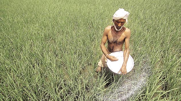 A farmer sprays fertilizer in a paddy field on the outskirts of Ahmadabad, India.The government has ruled out farm loan waivers by the Centre but said states can utilise their own resources in this regard.(AP)