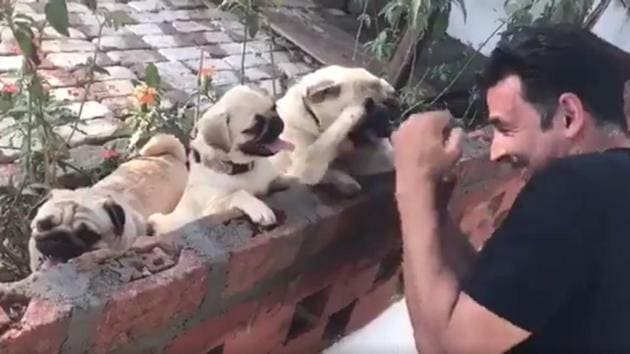 Akshay Kumar, a fitness freak, shared an adorable video where he is boxing with cubs.