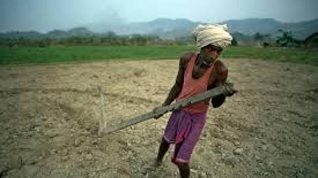 The Gujarat Government on Friday informed that state Legislative Assembly that as many as 91 farmers have ended their lives for various reasons across the state in the last five years.(PTI Representative Photo)