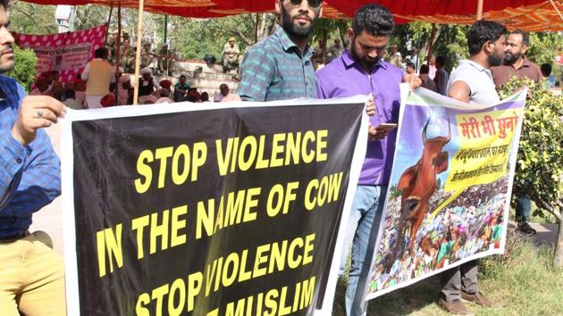 The collector was referring to the ban on consumption of meat of wild boars and pork in the name of religious faiths.(HT File Photo) The collector was referring to the ban on consumption of meat of wild boars and pork in the name of religious faiths.(HT File Photo)