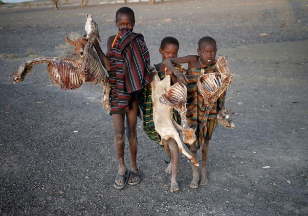 Boys carry carcasses of goats in a village near Loiyangalani. (Goran Tomasevic / Reuters) Boys carry carcasses of goats in a village near Loiyangalani. (Goran Tomasevic / Reuters)