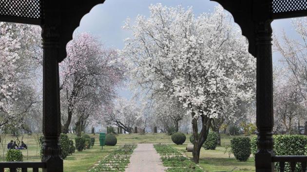 After months of bone-chilling cold, when locals are hurdled under blankets inside their houses, the arrival of spring gives them a reason to celebrate life. 