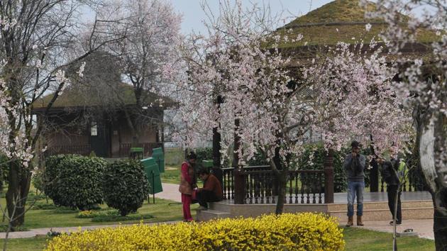 For centuries the Badam Wari was the first to reverberate with life with the onset of the spring season in the valley. 