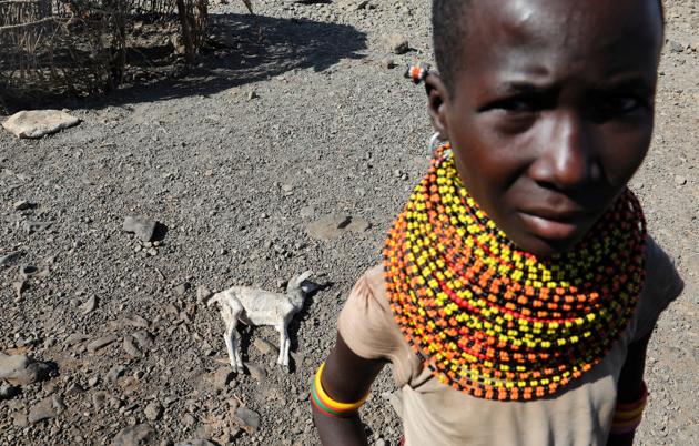 Nomadic communities store their savings in animals rather than banks and each carcass is a major loss. (Goran Tomasevic / Reuters) Nomadic communities store their savings in animals rather than banks and each carcass is a major loss. (Goran Tomasevic / Reuters)