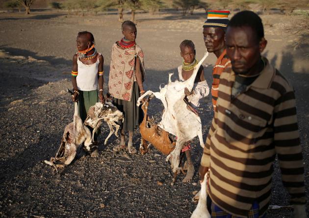 Turkana's collect carcasses of goats to be burned in a village near Loiyangalani. (Goran Tomasevic / Reuters) Turkana's collect carcasses of goats to be burned in a village near Loiyangalani. (Goran Tomasevic / Reuters)