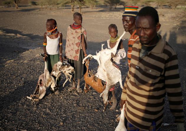 Turkana's collect carcasses of goats to be burned in a village. (Goran Tomasevic / Reuters) Turkana's collect carcasses of goats to be burned in a village. (Goran Tomasevic / Reuters)