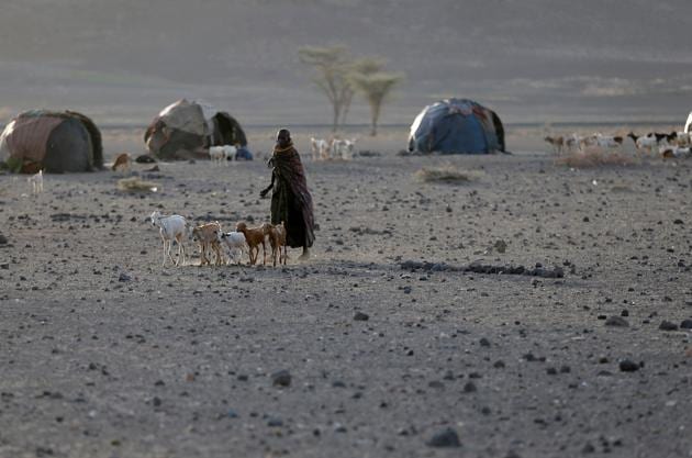 A Turkana tribeswoman walks with goats in a village near Loiyangalani, Kenya, March 21, 2017. Picture taken on March 21, 2017. REUTERS/Goran Tomasevic (REUTERS) A Turkana tribeswoman walks with goats in a village near Loiyangalani, Kenya, March 21, 2017. Picture taken on March 21, 2017. REUTERS/Goran Tomasevic (REUTERS)