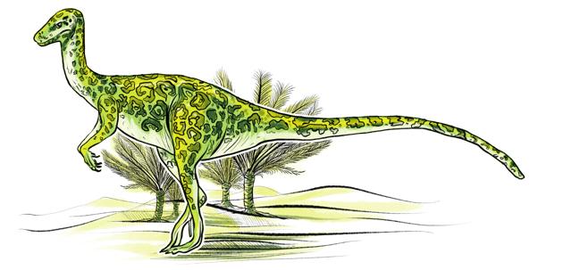 This wonderfully named dinosaur, the Jubbulpuria is named after Jabalpur in MP, where fossils were excavated. It was small, barely half a metre tall and 1.2 metres long. But it was known to be a sharp predator. (Srikrishna Patkar/HT Illustration) This wonderfully named dinosaur, the Jubbulpuria is named after Jabalpur in MP, where fossils were excavated. It was small, barely half a metre tall and 1.2 metres long. But it was known to be a sharp predator. (Srikrishna Patkar/HT Illustration)