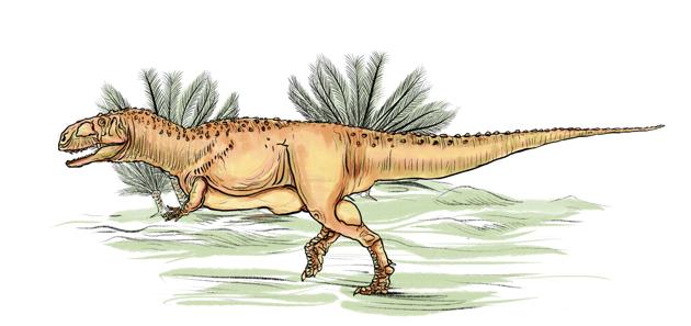 Think of this one as the top dog, the apex carnivore of the cretaceous period. The (Srikrishna Patkar/HT Illustration) Think of this one as the top dog, the apex carnivore of the cretaceous period. The (Srikrishna Patkar/HT Illustration)