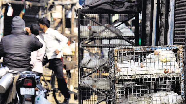 According to officials cracking down on unauthorised meat shops, most of the 100 shops in Noida and Greater Noida were found to be legal.(Sunil Ghosh/HT File Photo)