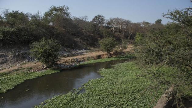 The Mithi at Filter Pada carries untreated sewage from the slums along its banks. (Satish Bate/HT Photo) 