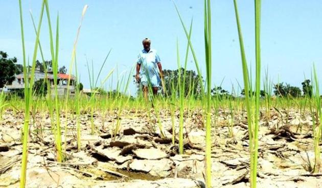 India can expect a poor monsoon and there is likelihood of drought in some parts of the country.(HT File)