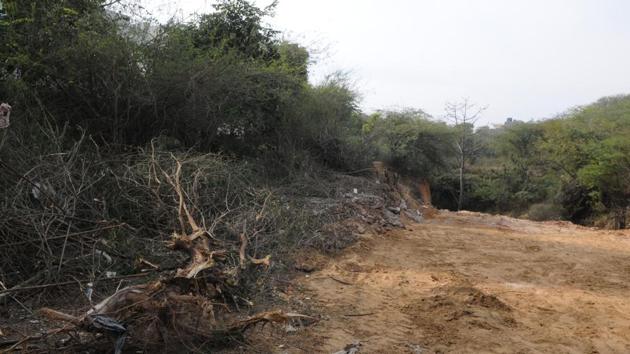Tree felling incidents are frequently reported in Gurgaon. (HT File) Tree felling incidents are frequently reported in Gurgaon. (HT File)